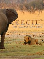 Watch Cecil: The Legacy of a King Nowvideo