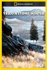 Watch National Geographic Yellowstone Winter Nowvideo