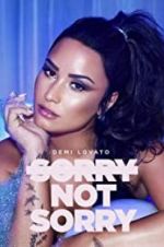 Watch Demi Lovato: Sorry Not Sorry Nowvideo