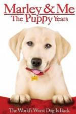 Watch Marley and Me The Puppy Years Nowvideo
