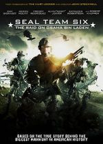 Watch Seal Team Six: The Raid on Osama Bin Laden Nowvideo