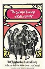 Watch Cockeyed Cowboys of Calico County Nowvideo