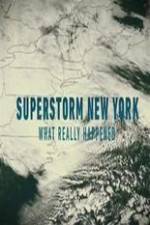 Watch Superstorm New York: What Really Happened Nowvideo