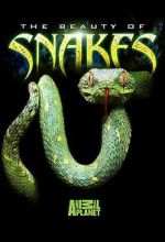 Watch Beauty of Snakes Nowvideo
