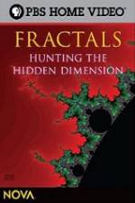 Watch NOVA - Fractals Hunting the Hidden Dimension Nowvideo
