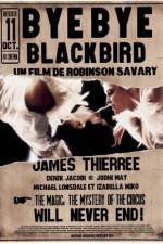 Watch Bye Bye Blackbird Nowvideo