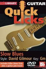 Watch Lick Library Quick Licks David Gilmour Nowvideo