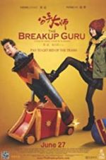 Watch The Breakup Guru Nowvideo