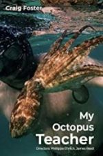 Watch My Octopus Teacher Nowvideo