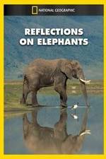 Watch Reflections on Elephants Nowvideo