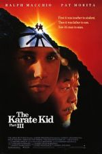 Watch The Karate Kid Part III Nowvideo