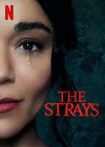 Watch The Strays Nowvideo