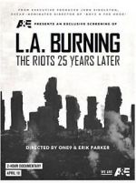 Watch L.A. Burning: The Riots 25 Years Later Nowvideo