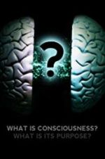 Watch What Is Consciousness? What Is Its Purpose? Nowvideo