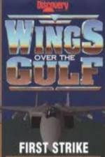 Watch Wings Over the Gulf Vol  1  First Strike Nowvideo