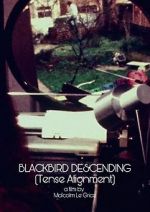 Watch Blackbird Descending Nowvideo