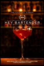 Watch Hey Bartender Nowvideo