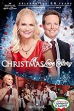 Watch A Christmas Love Story Nowvideo