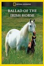 Watch Ballad of the Irish Horse Nowvideo