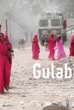 Watch Gulabi Gang Nowvideo