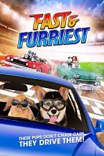 Watch Fast and Furriest Nowvideo