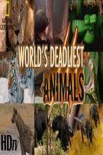 Watch National Geographic - Worlds Deadliest Animal Battles Nowvideo