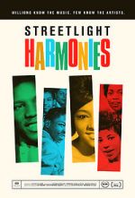 Watch Streetlight Harmonies Nowvideo