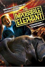 Watch The Incredible Elephant Nowvideo