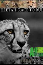Watch Cheetah: Race to Rule Nowvideo