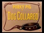 Watch Dog Collared (Short 1950) Nowvideo