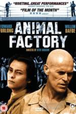 Watch Animal Factory Nowvideo