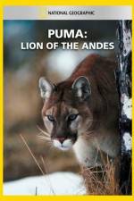 Watch National Geographic  Puma: Lion of the Andes Nowvideo