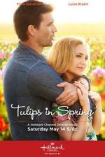 Watch Tulips in Spring Nowvideo