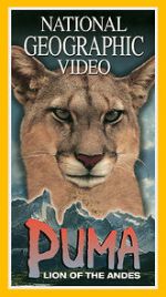 Watch Puma: Lion of the Andes Nowvideo