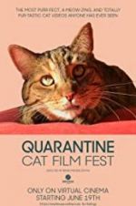 Watch Quarantine Cat Film Fest Nowvideo