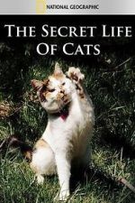 Watch The Secret Life of Cats Nowvideo