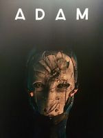 Watch Adam Nowvideo