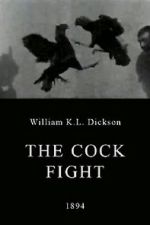 Watch The Cock Fight Nowvideo
