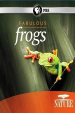 Watch Nature: Fabulous Frogs Nowvideo