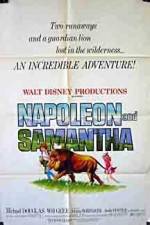 Watch Napoleon and Samantha Nowvideo