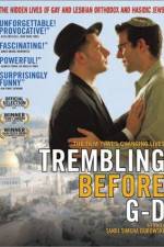 Watch Trembling Before G-d Nowvideo