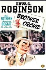 Watch Brother Orchid Nowvideo