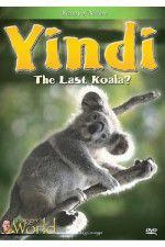 Watch Yindi the Last Koala Nowvideo