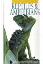 Watch Reptiles and Amphibians Nowvideo