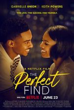 Watch The Perfect Find Nowvideo