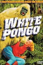 Watch White Pongo Nowvideo