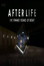 Watch After Life: The strange Science Of Decay Nowvideo