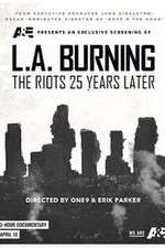 Watch LA Burning Nowvideo