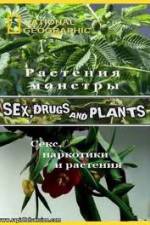 Watch National Geographic Wild: Sex Drugs and Plants Nowvideo