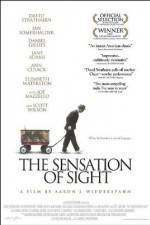 Watch The Sensation of Sight Nowvideo